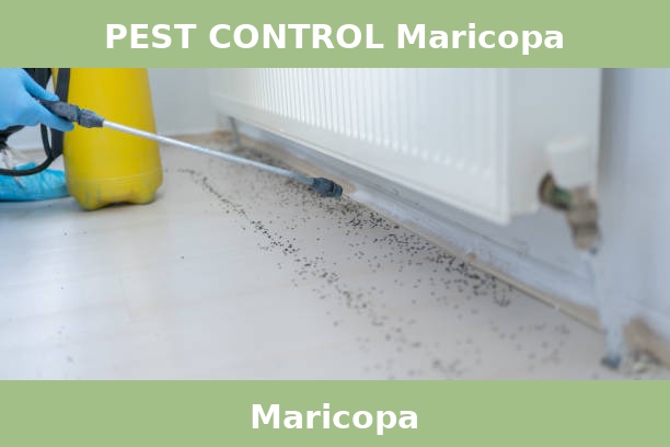 PEST CONTROL Maricopa
